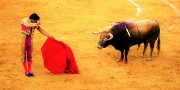 İspanya'da 'boğa katliamı' iptal edildi