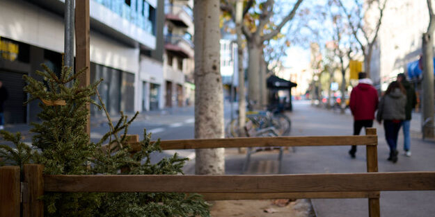 İspanya'da gündem oldu: sokakta kumrulara yem atan kadına 1500 avro para cezası kesildi! İlişkin açıklamalar