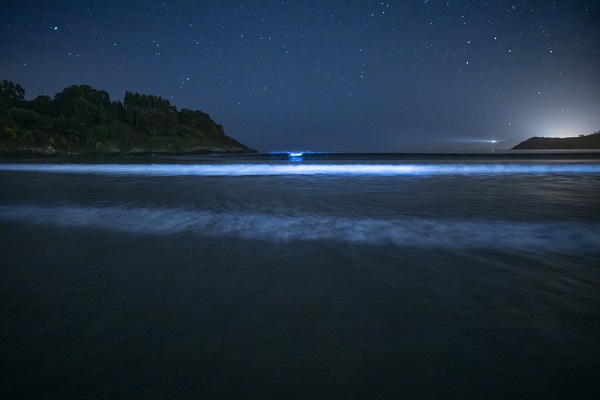 ‘Sütlü deniz’ objektiflere yansıdı