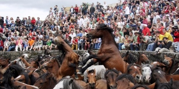 İspanyolların at yelesi sevdası