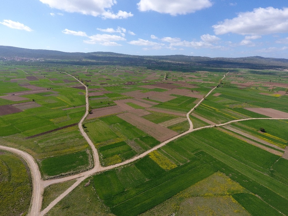 Isparta, Burdur ve Afyonkarahisar’da toplulaştırma devam ediyor 