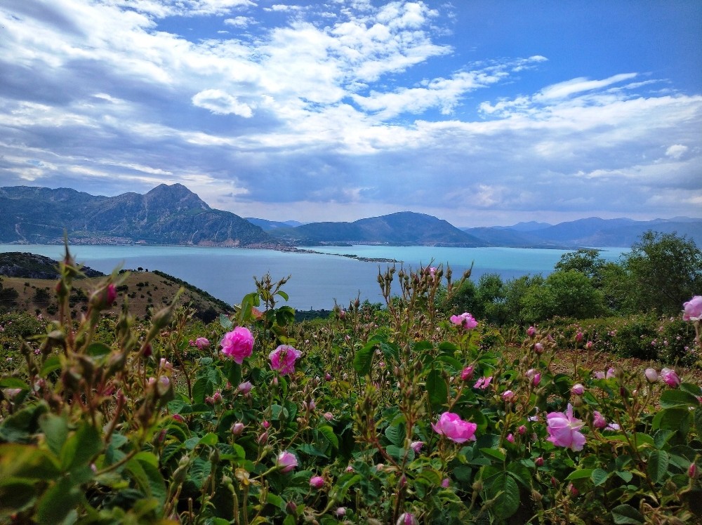 Isparta, Türkiye Kültür Portalı’nda Mayıs ayı birincisi 