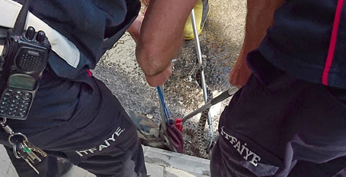 Isparta’da itfaiyeden yılan operasyonu