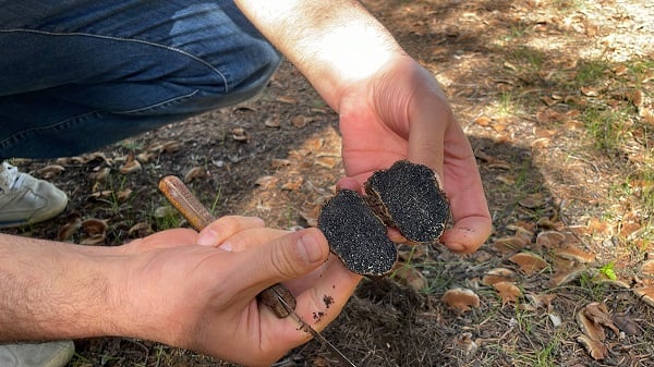 Isparta'da keşfedildi literatüre girdi