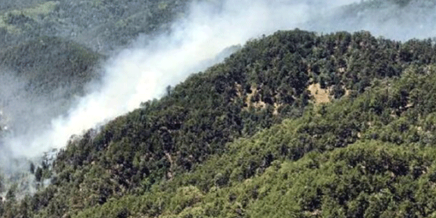 Isparta'da orman yangını