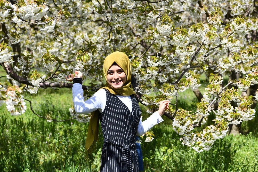 Isparta’da ’Sakura’ vakti 