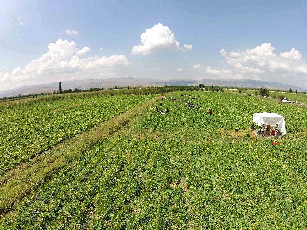 Isparta’da sulama sezonu başladı 