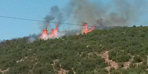 Isparta'daki orman yangını kontrol altına alındı