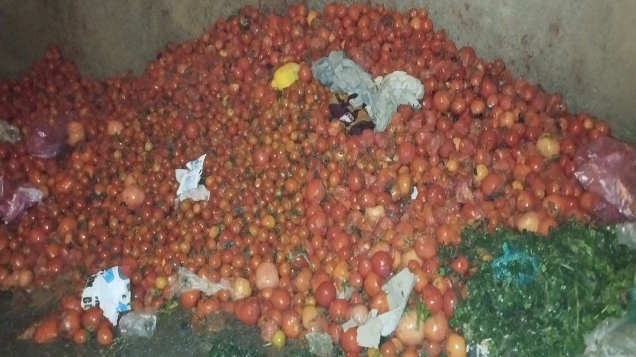 İsraf tepkisi: Domatesler çöpe döküldü