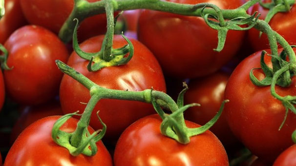 İsrail domatesten vergi almayacak