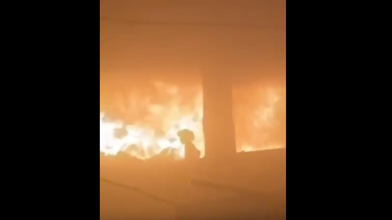 İsrail okula sığınan sivilleri yakarak katletti!