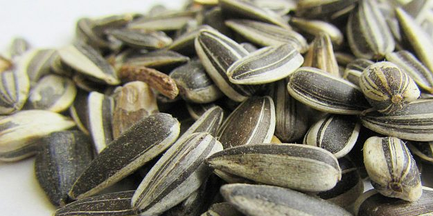 İsrail yüzünden kıtlık an meselesi! Gazze'de gıda silah olarak kullanılıyor! Batı nerede...