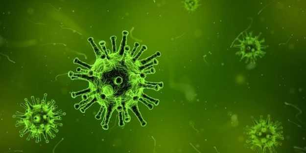 İsrail'de yeni virüs ortaya çıktı