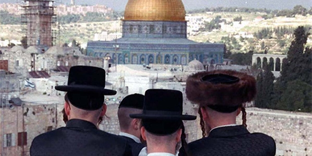 İyice yerleşiyorlar!