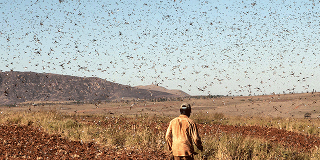 İsrail'i istila ettiler