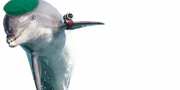 İsrail'in casus yunusu yakalandı