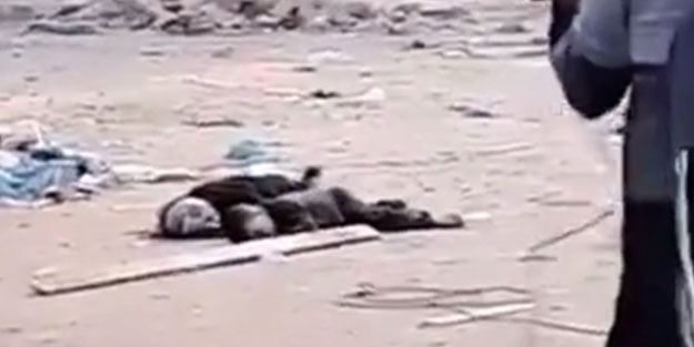 İsrailli keskin nişancılardan vahşet! Küçük çocuğu ve annesini vurdu