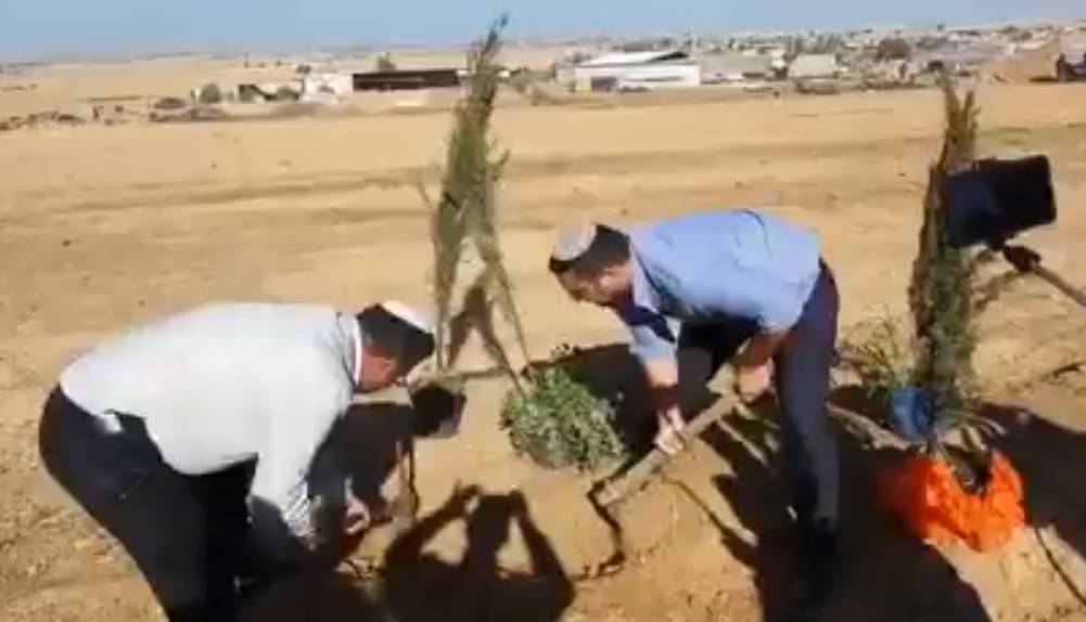 İsrailli parlamenter Filistinlilere ait araziye ağaç dikerek provokasyon yaptı! Vekilinden askerine Siyonistler hukuk tanımıyor!