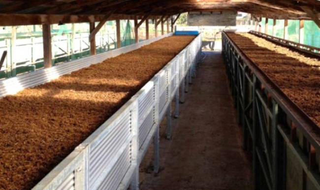 İşsiz genç solucan gübresi üretim tesisi kurdu