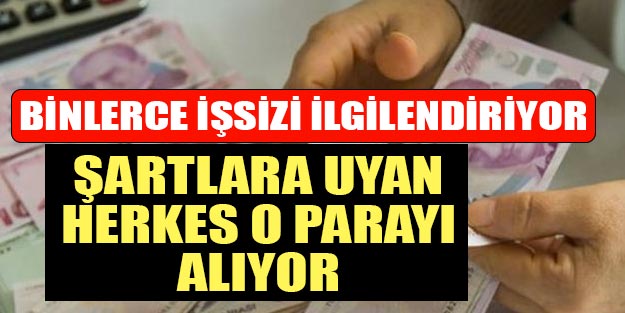İşsizlik maaşı kimler alabilir? İşsizlik maaşı nasıl alınır