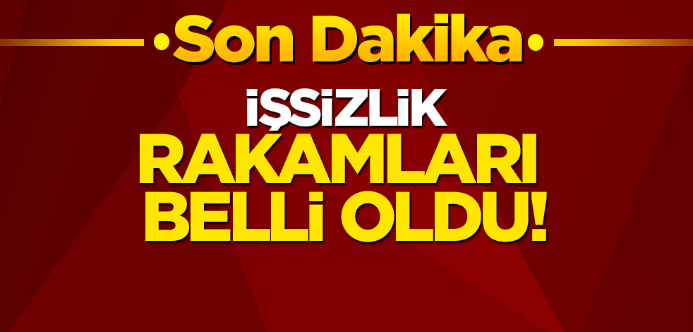 İşsizlik rakamları belli oldu!