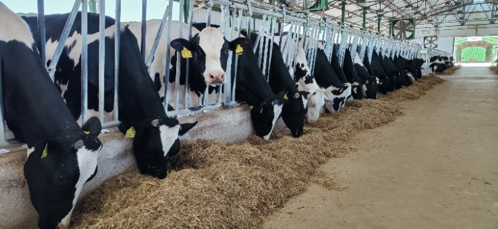 İşsizlikten yakınanlar iş beğenmiyor! Bakalım kaç kişi başvuracak?