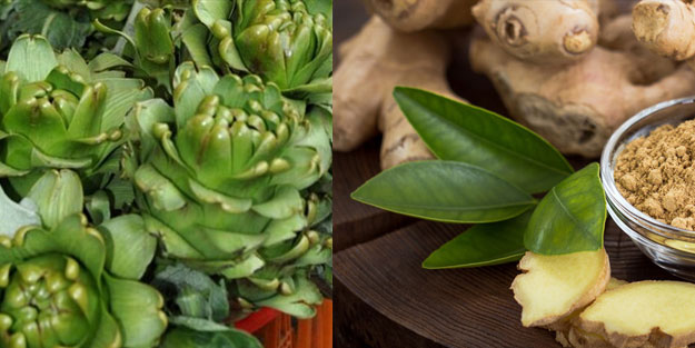 İştahsızlığa iyi gelen bitkisel tedavi yöntemi