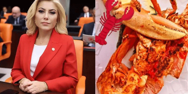 Istakoz paylaşımı yapan AK Partili vekil Şebnem Bursalı'ya o isimden tepki: İstifa edeceksin