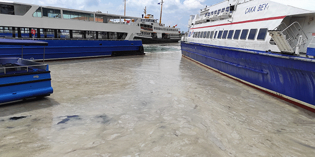 İstanbul Anadolu yakasında deniz salyası arttı