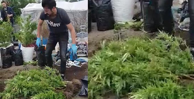 İstanbul Ataşehir'de uyuşturucu serasına çevrilen eve operasyon