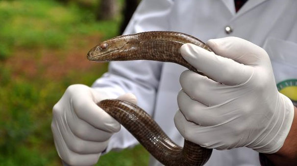 İstanbul Bahçeşehir’de panik! Az daha öldürüyorlardı…