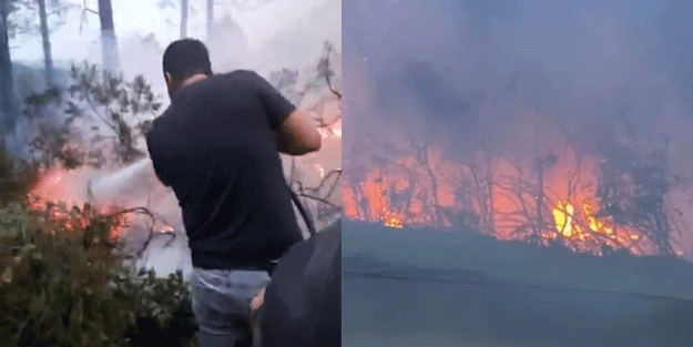 İstanbul'da orman yangını