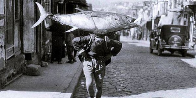 İstanbul Boğazı bir zamanlar balık doluydu