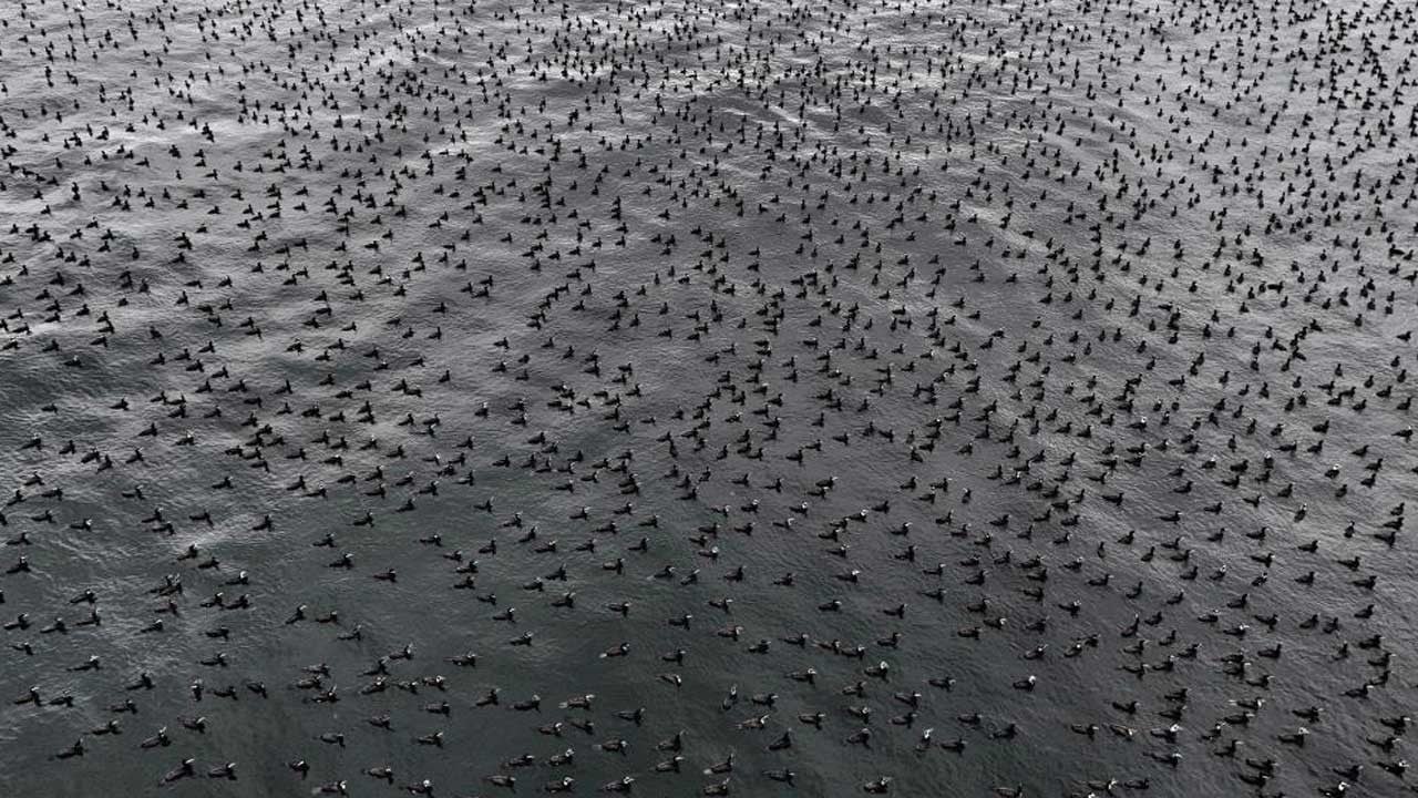 İstanbul Boğazı’nda 