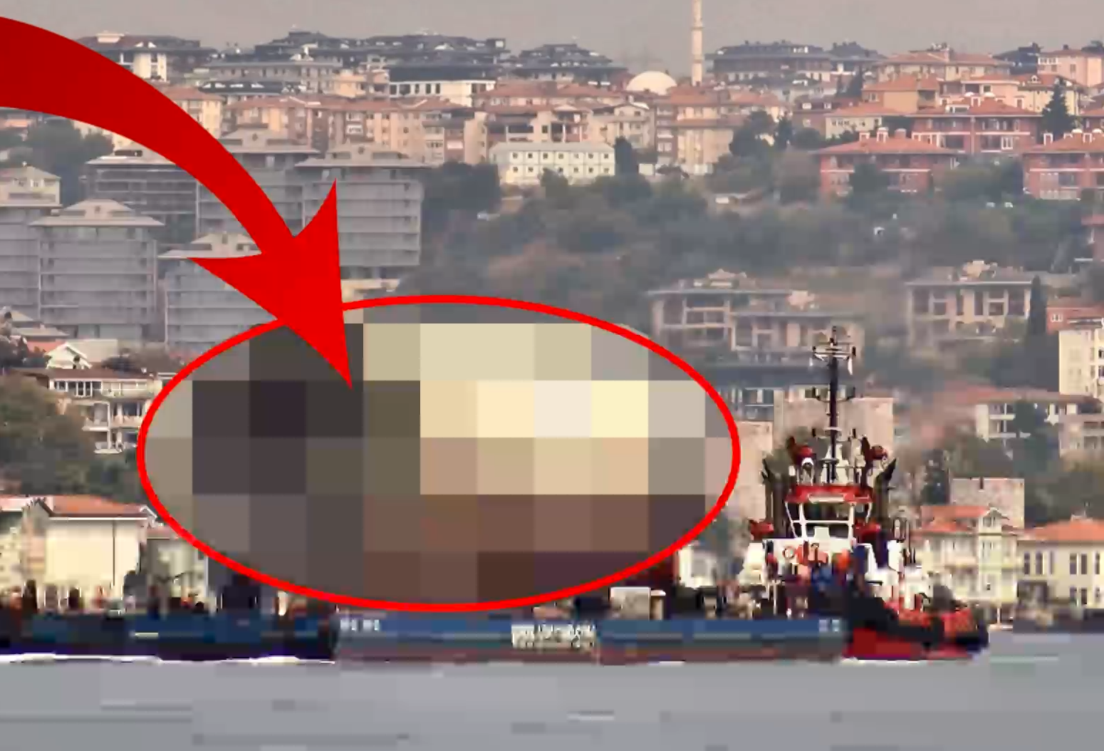 İstanbul Boğazı'nda onu görenlerin gözleri fal taşı gibi açıldı! Görenler inanamadı, gözlerini ovuşturup tekrar tekrar baktı