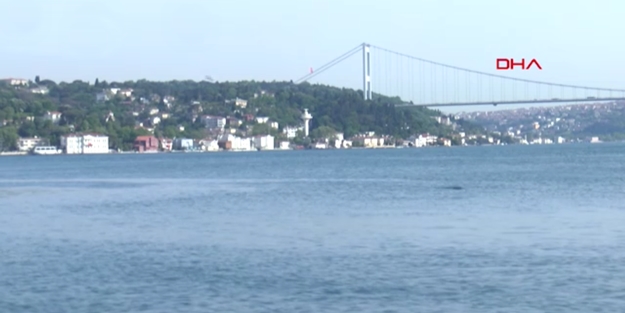 İstanbul Boğazı'nda şaşkına çeviren görüntü! Kimse gözlerine inanamadı