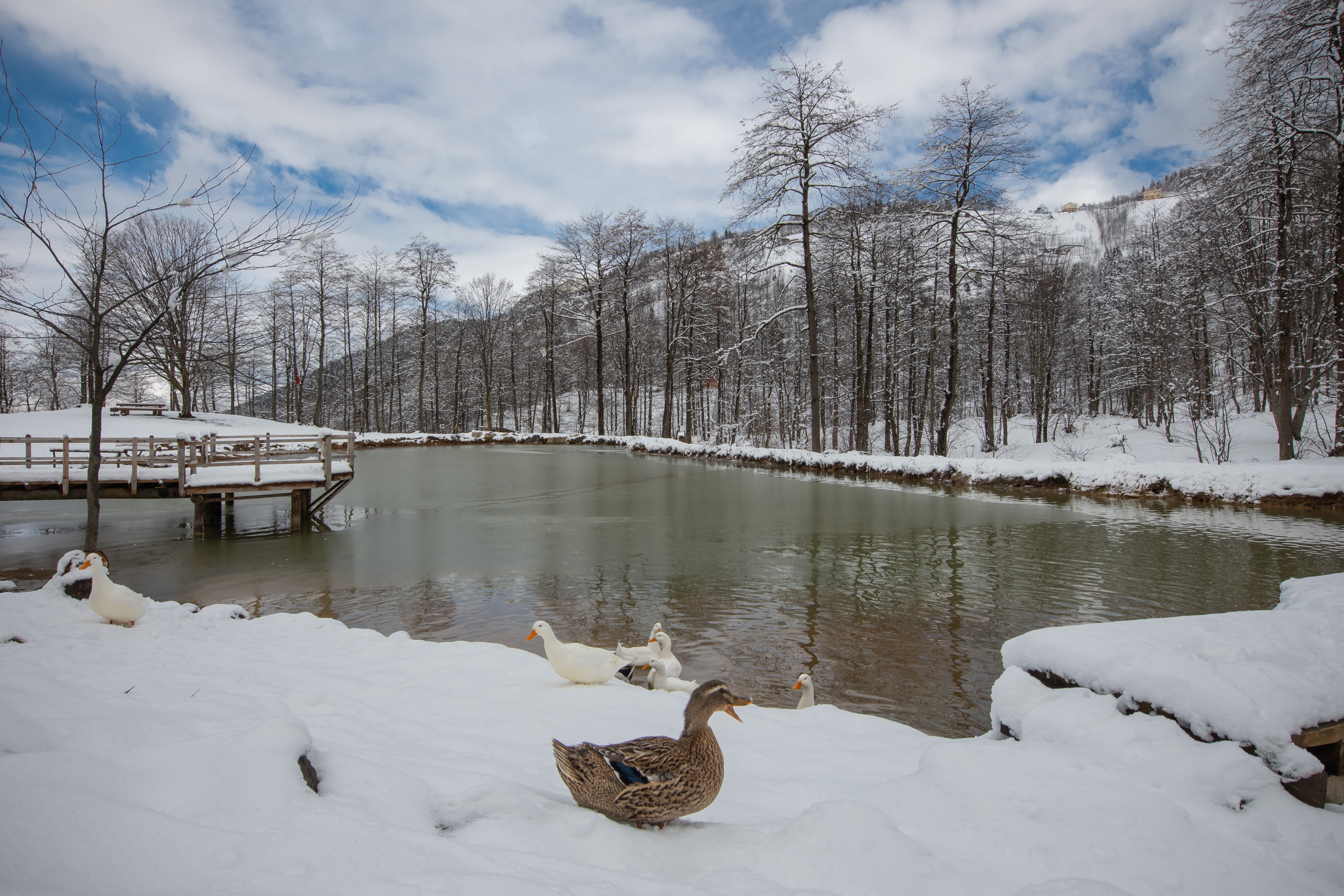 İstanbul bu görüntülere hasret kaldı! İlkbaharda kar yağmaz demeyin! Karadeniz’in yaylalarına birde böyle bakın!