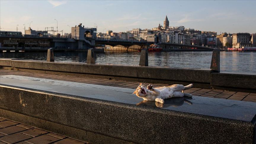 İstanbul güne sakin başladı