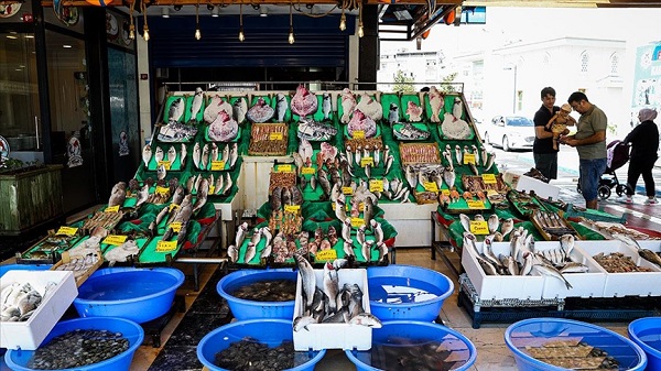 İstanbul hamsi palamut güncel balık fiyatları: