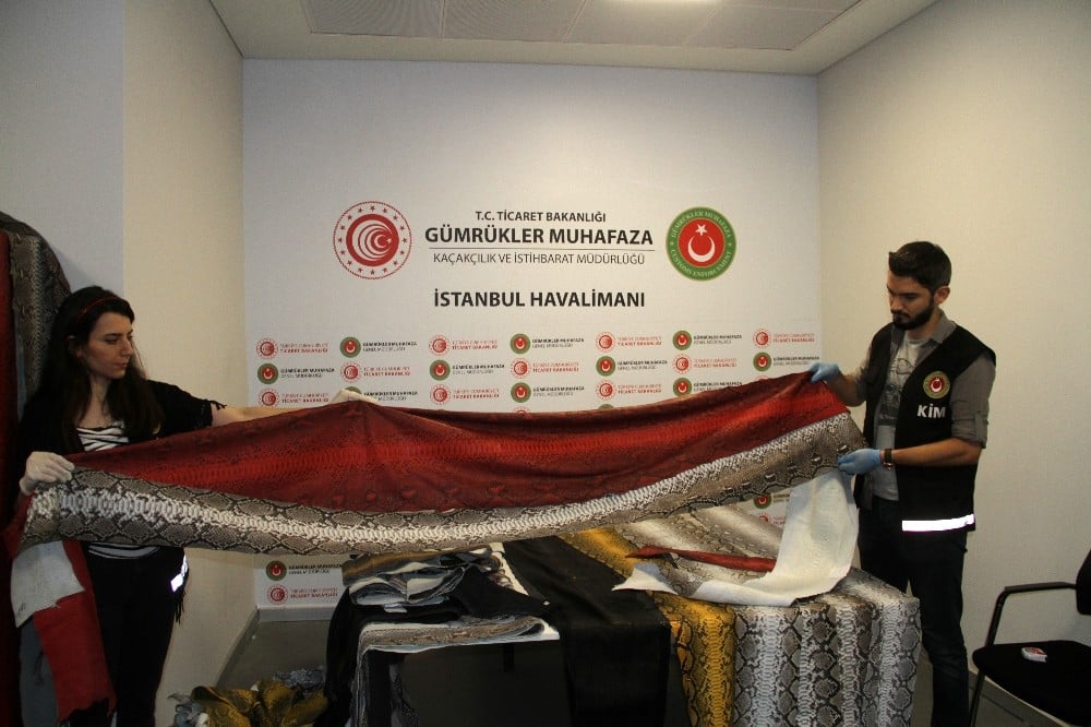 İstanbul Havalimanı’nda ele geçirilen yılan derilerinin değeri 320 bin TL 