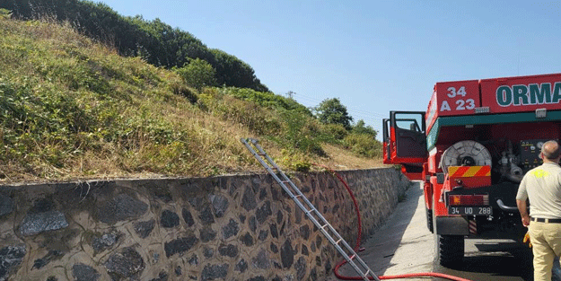 İstanbul'da orman yangını