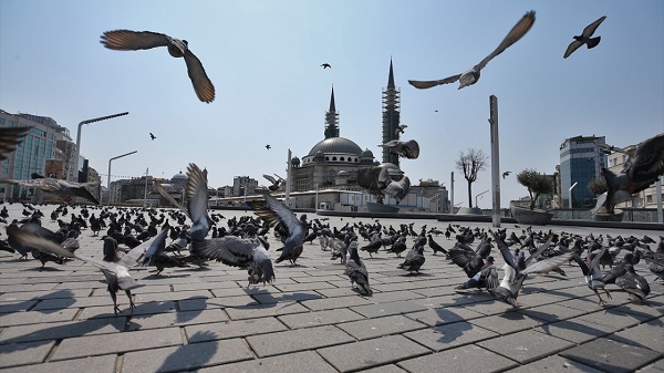 İstanbul koronavirüs vaka sayısı | İstanbul hangi ilçelerde koronavirüs azaldı
