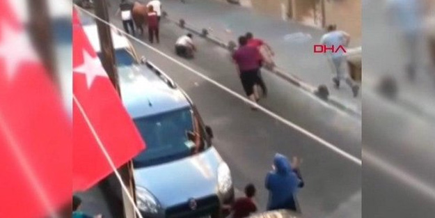 İstanbul'da kaçak boğa operasyonu
