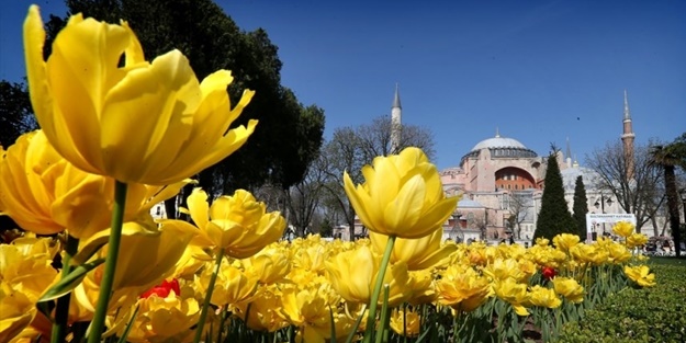 İstanbul lalelerle buluştu - FOTO