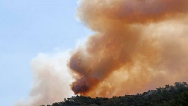 İstanbul orman yangını son dakika | Beykoz orman yangını son durum