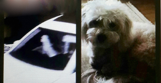 İstanbul polisi, lüks semtlerde hırsızlık yapan çeteyi çökertti