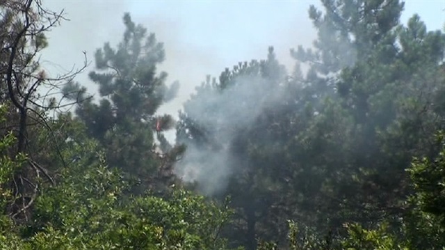 İstanbul Sultanbeyli'de korkutan yangın