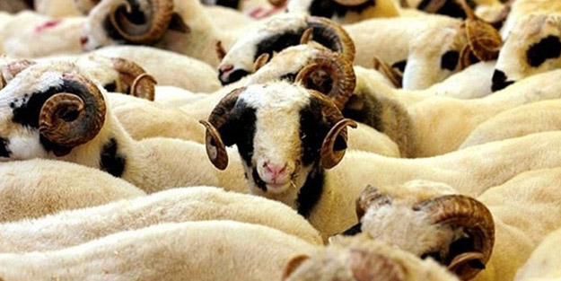 Valilik duyurdu! İstanbul'da yeni tedbirler belirlendi