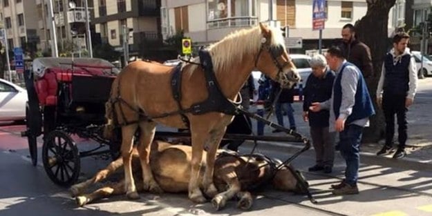 İstanbul Valiliği'nde ''fayton'' toplantısı