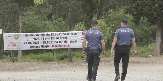 İstanbul Valiliği’nden orman kararı! Ormanlara pikniğe gidecekler dikkat!
